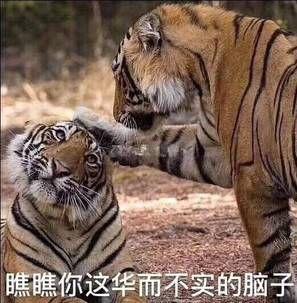 大概玩法猜测(目录) 2