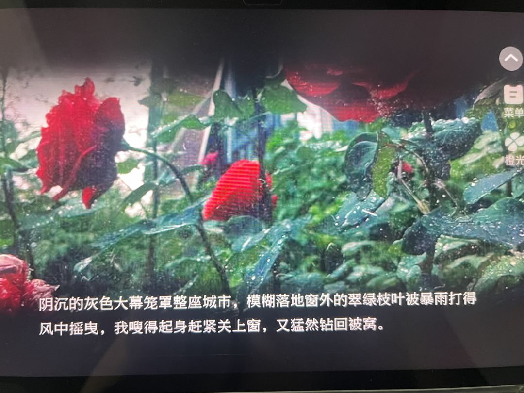 啊啊啊啊啊啊宿命感爆满的一刻 2