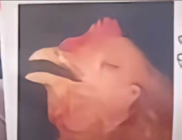 我真的很喜欢你游的剧情，你游千万别④啊[表情_豹哭]姬夏这个剧情看得我珍珠都掉了[表情_豹哭]截图