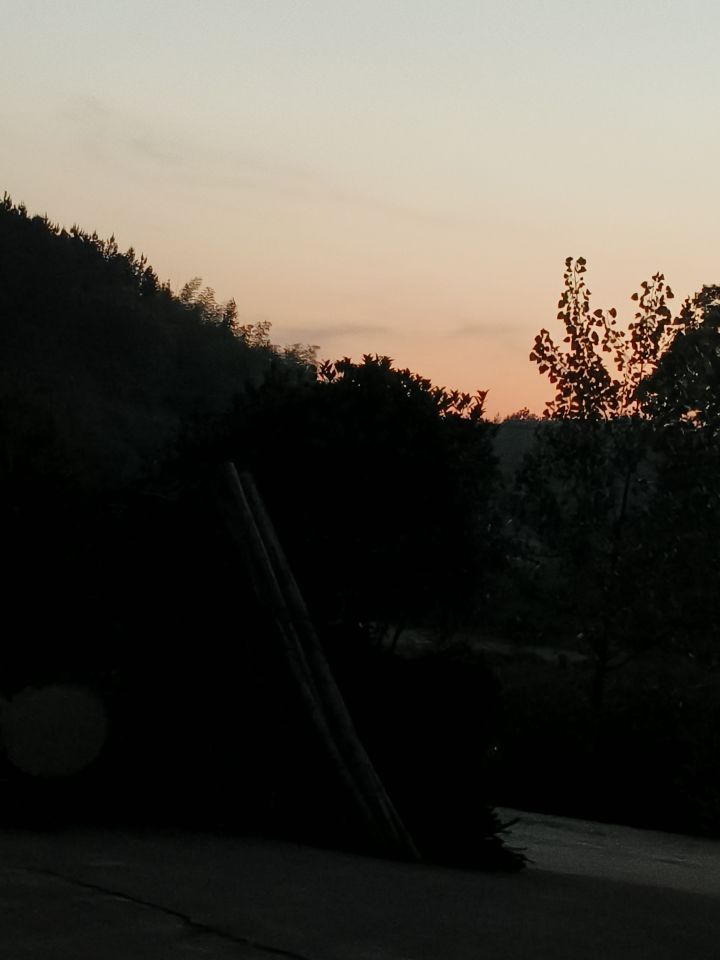 打卡截图
