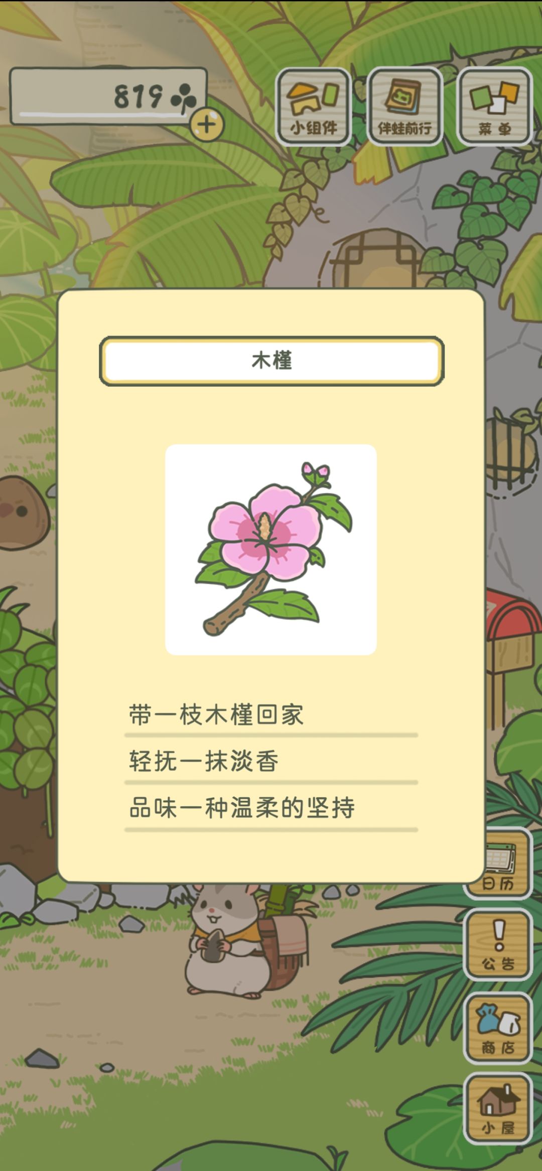 久违的木槿花来了~ 1