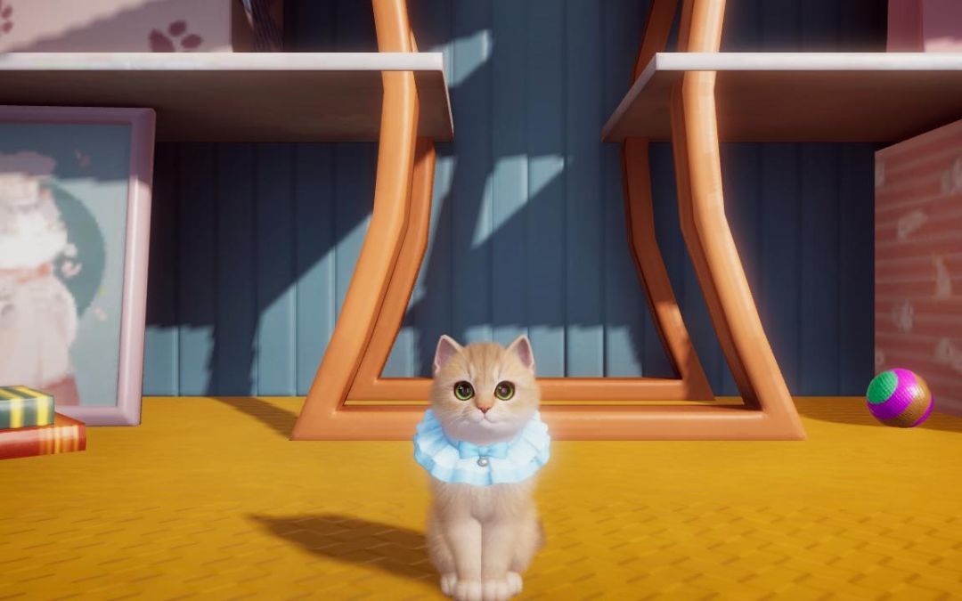 猪咪猪咪 2