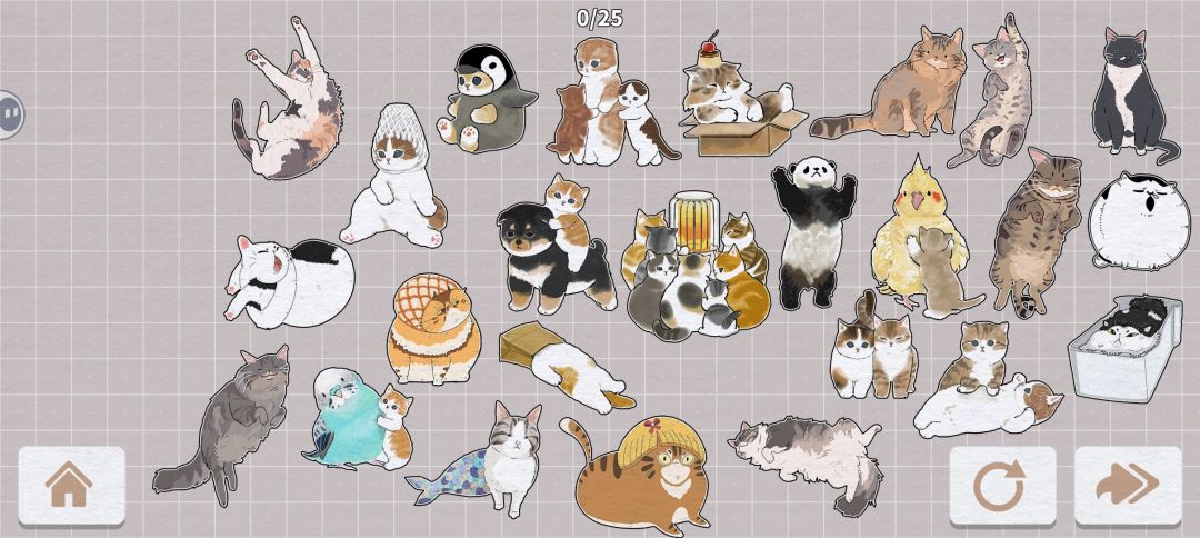 猫的完成展示图2 3
