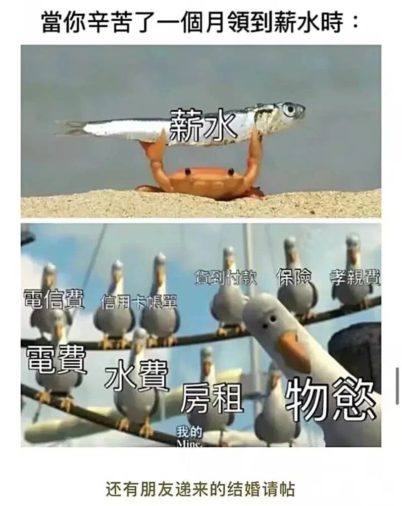 ✨今日份梗图分享第五十期✨ 3