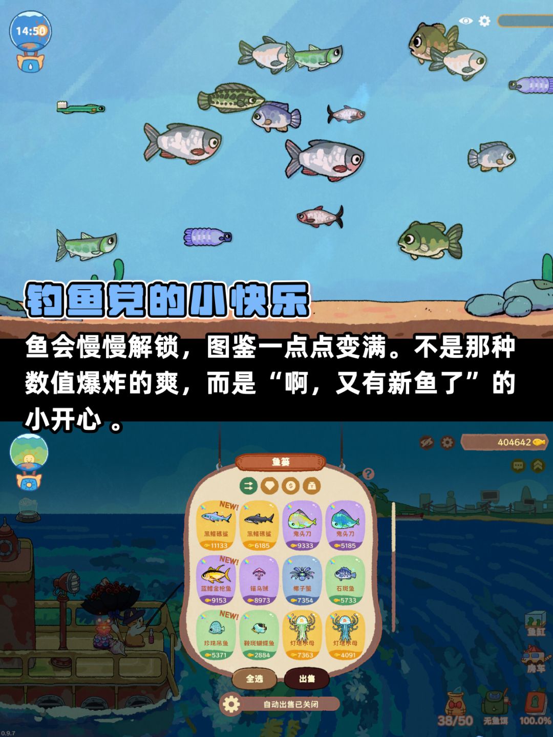 上班时偷偷养了一只猫 3