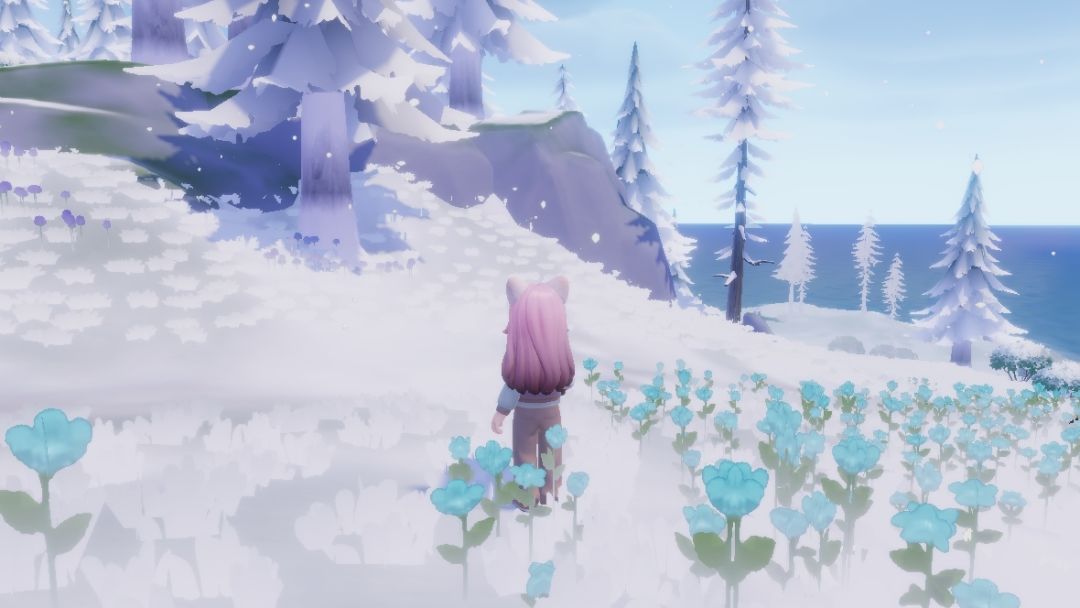 冰雪季的星星网兜和蓝花 2