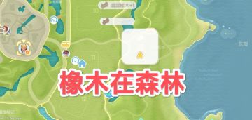 4.17心动小镇萤石溜溜橡木具体位置