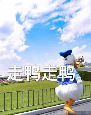 肉肉周周念——开测倒计时六天！