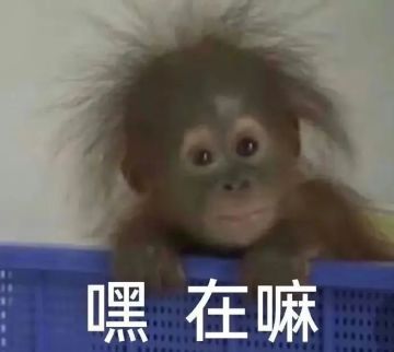 【新区公告】天启-虔诚信仰（安卓IOS混服）来袭！