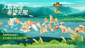 公益联动开启丨朱鹮振翅，生态之歌