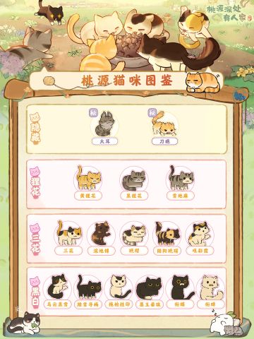 桃源猫猫图鉴：请查收这份毛茸茸暴击！