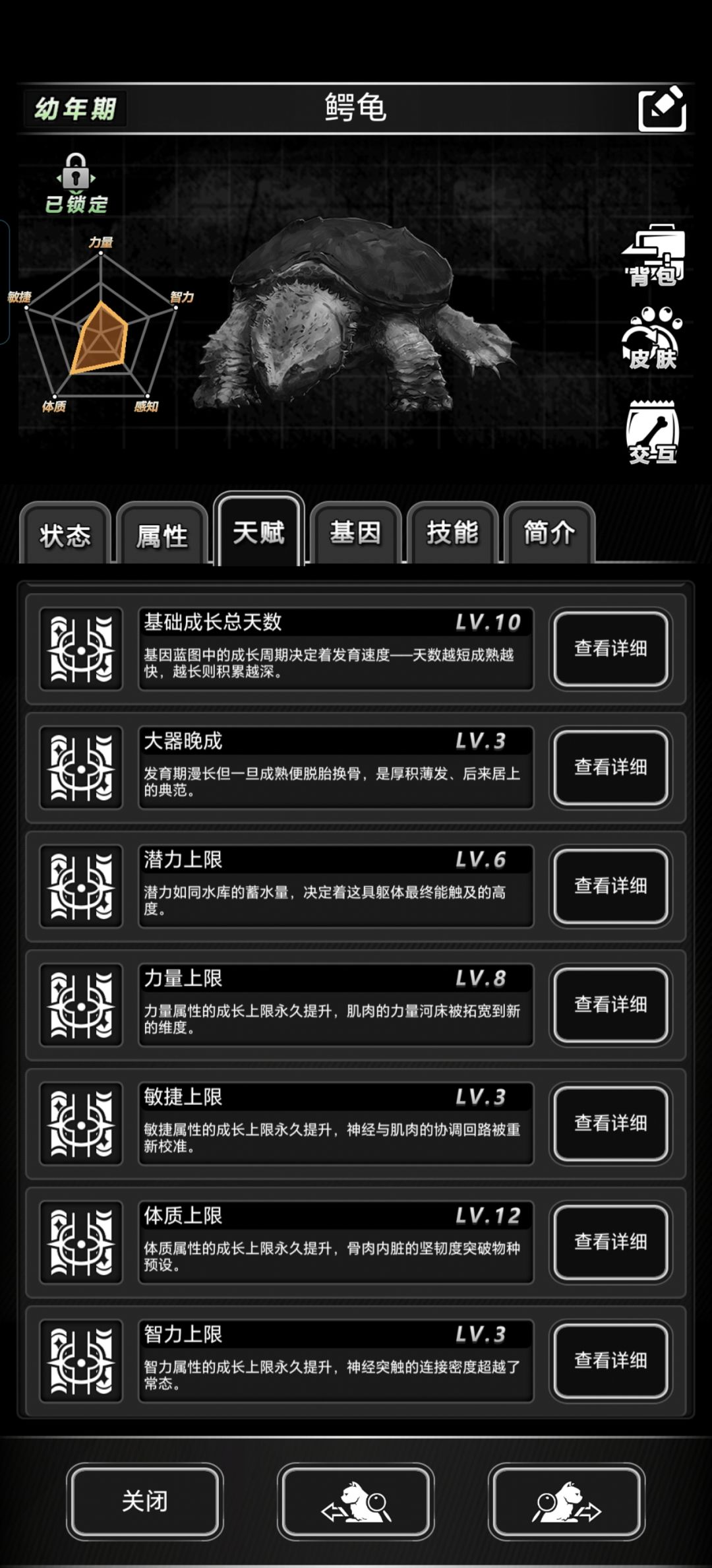 这只鳄龟天赋怎么样 3