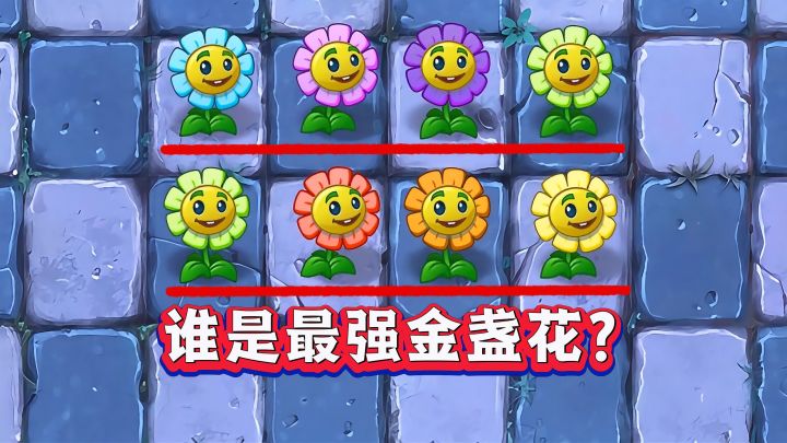 8种不同颜色的金盏花，你觉得谁是最强王者？截图