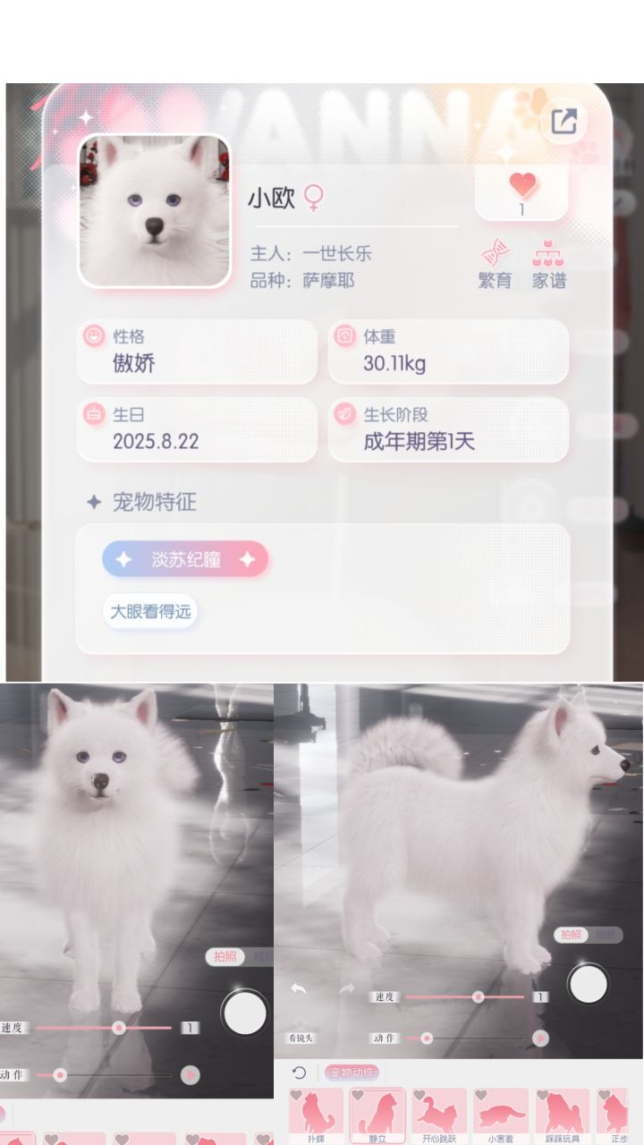 萨摩耶现配约亲截图
