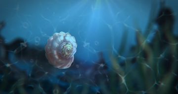 冒险小剧场 | 翠西亚的押韵小课堂