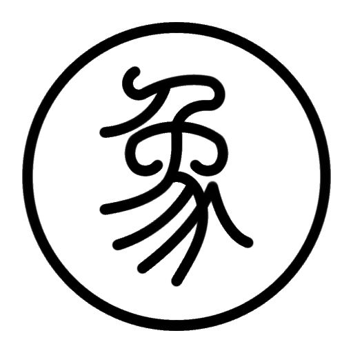 这是双方字都不一样的篆书棋子 12