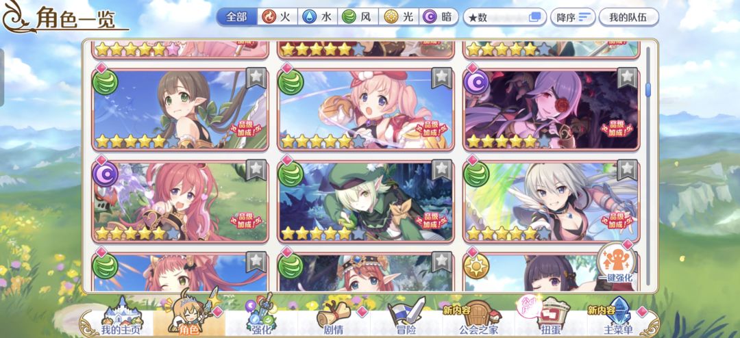 开花+2 3