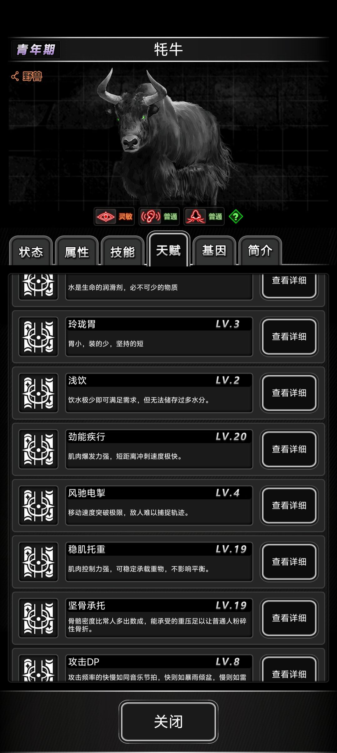 青年牛 1