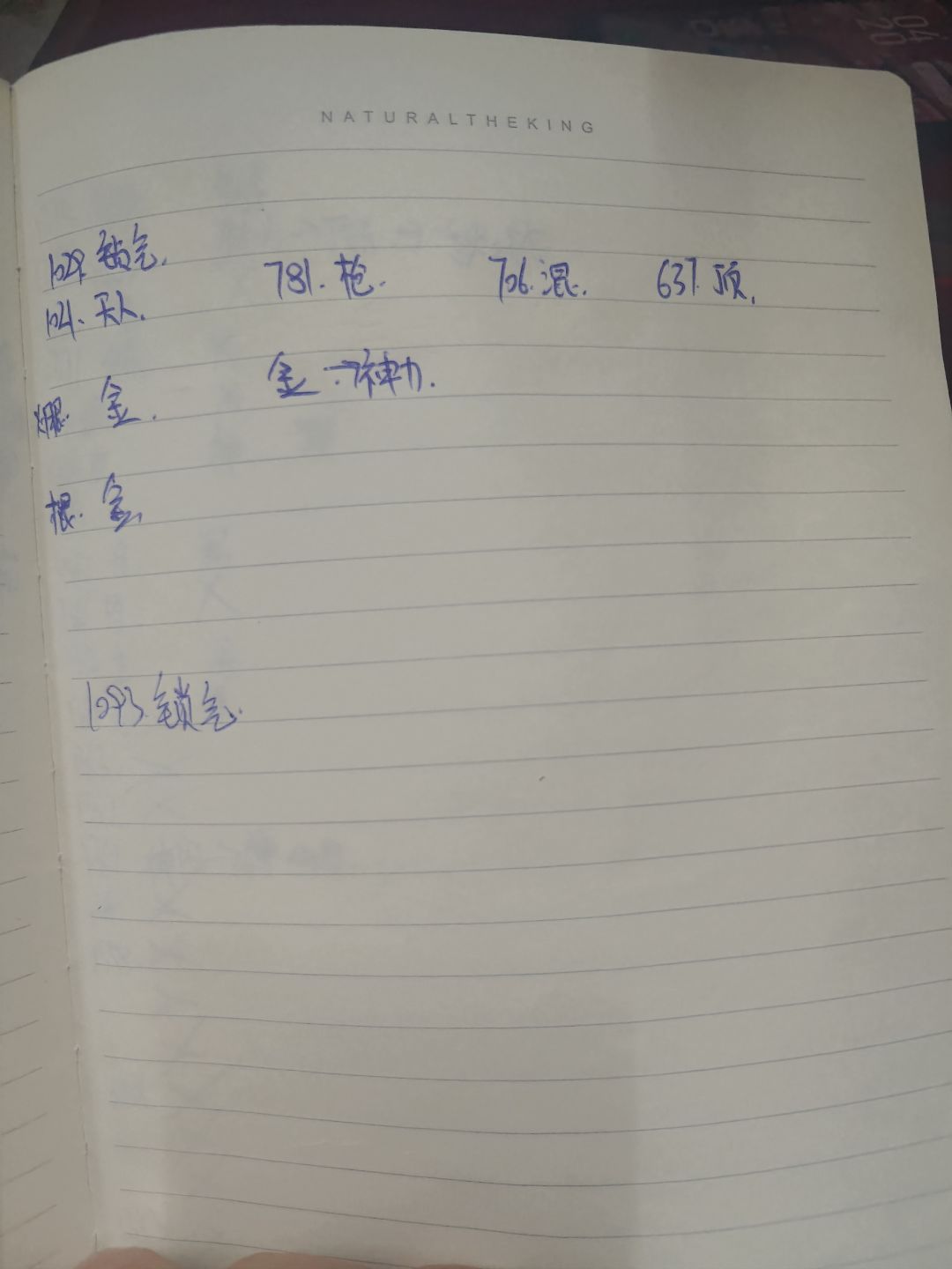 我简直是个大傻波 4