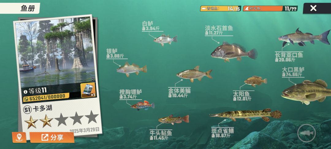 好几条鱼钓不到 1