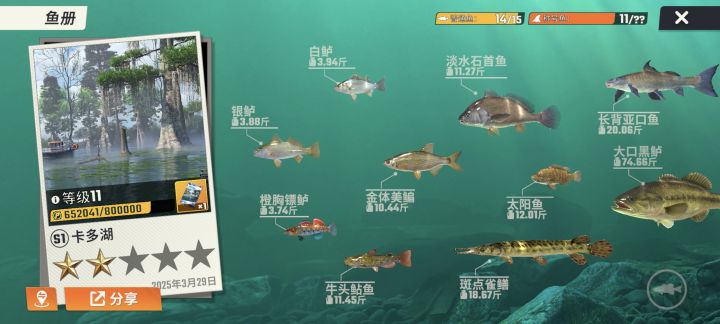 好几条鱼钓不到截图