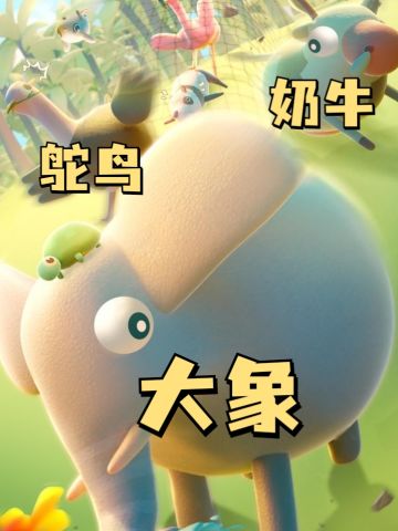 🌟超多动物，超可爱🌟