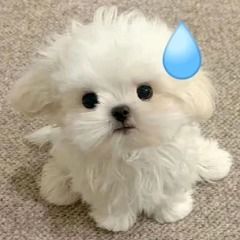 大佬如何换绑手机号啊? 1