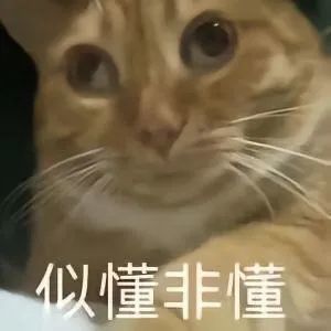 央蛮截图