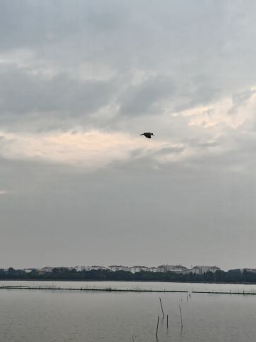 【江湖羁绊】柯降龙与聂尊的师徒孽缘