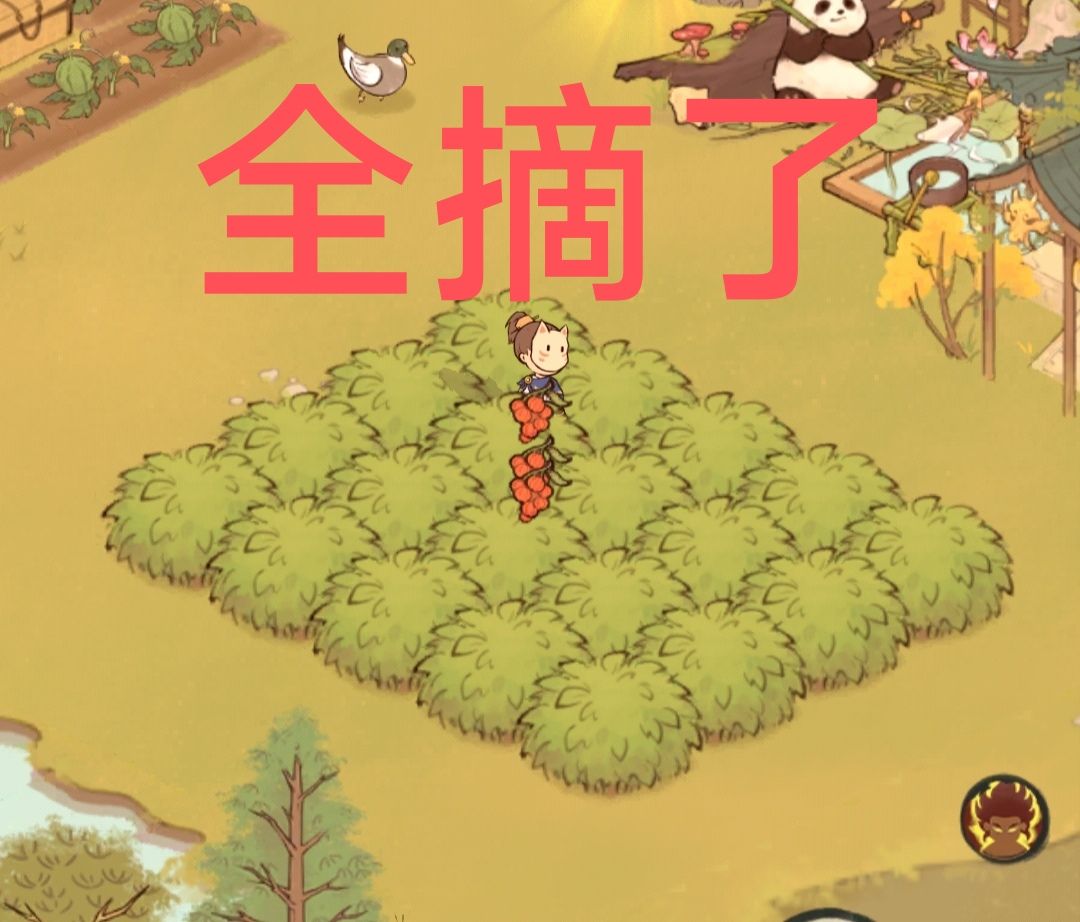 野果果全红攻略! 2