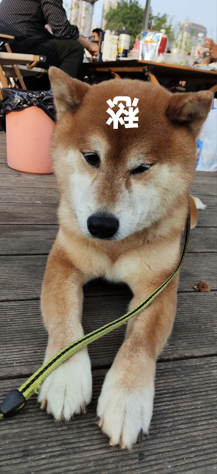 我也想当✓托qmq截图