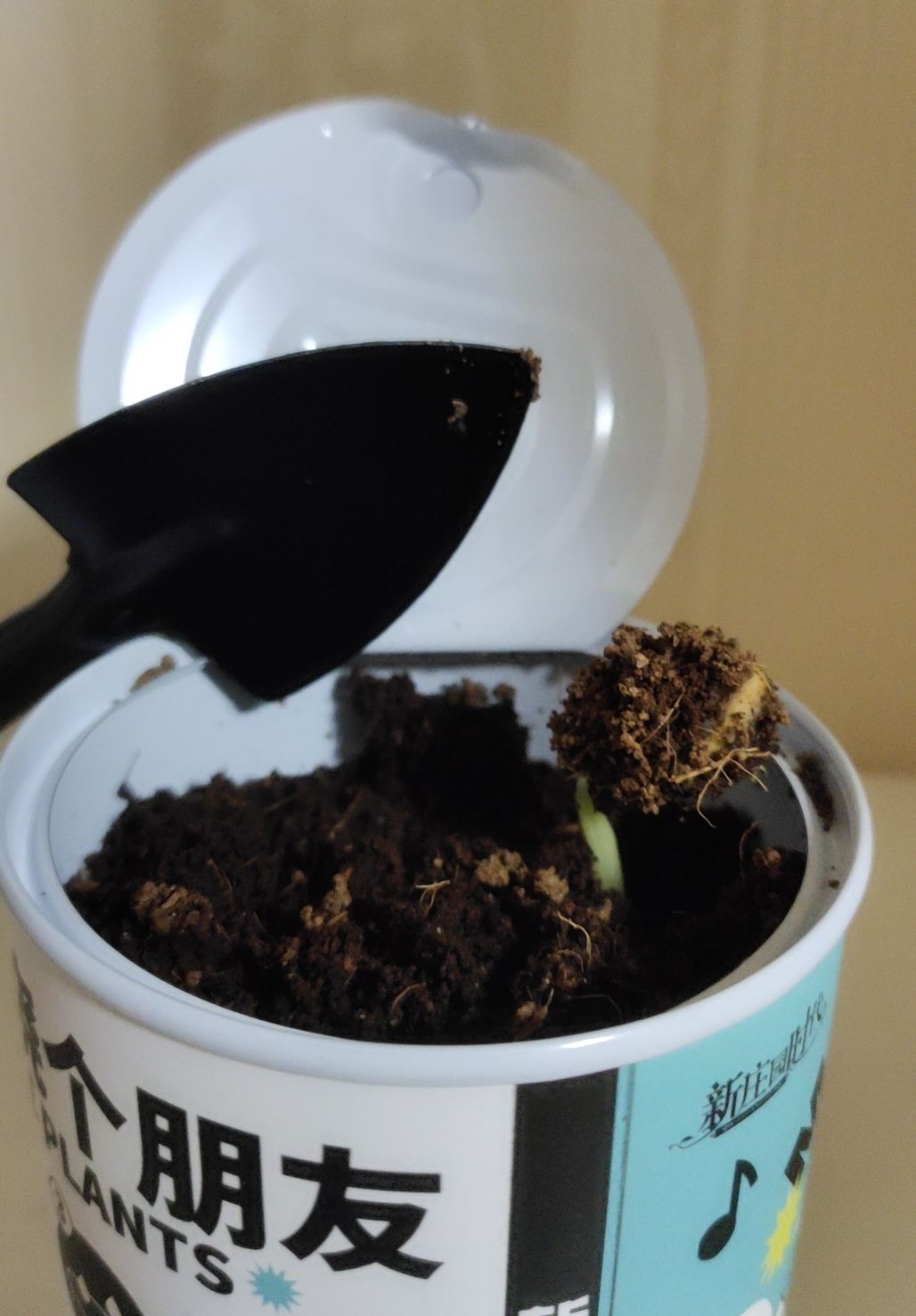 突破蔷薇子爵 3