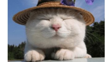 技能MOD进度展示⑨剧情角色技能页