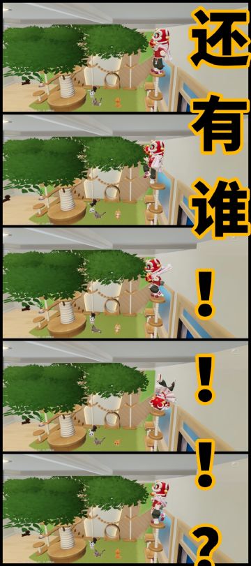 就我这套动作拿出来，猫看了都得直呼过瘾👍