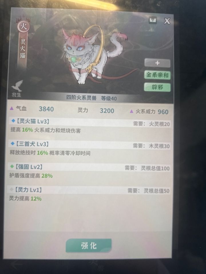 大佬们玩火剑的话这个是不是可以培养了截图