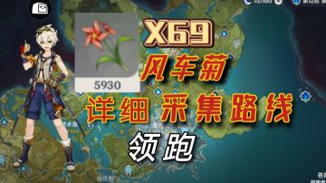 69朵风车菊详细采集路线领跑/班尼特/砂糖/突破材料/萤/空
