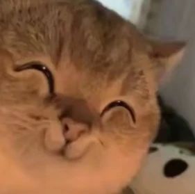 通关了(* ̄rǒ ̄)抠鼻屎 2