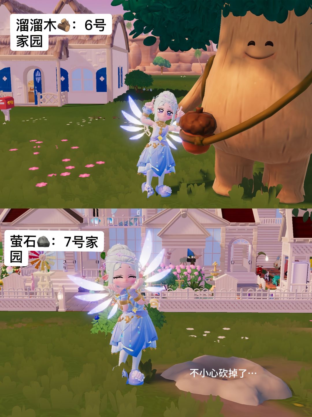 今日兑换码+溜溜木萤石位置 2