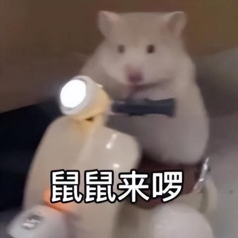 脱离苦海截图