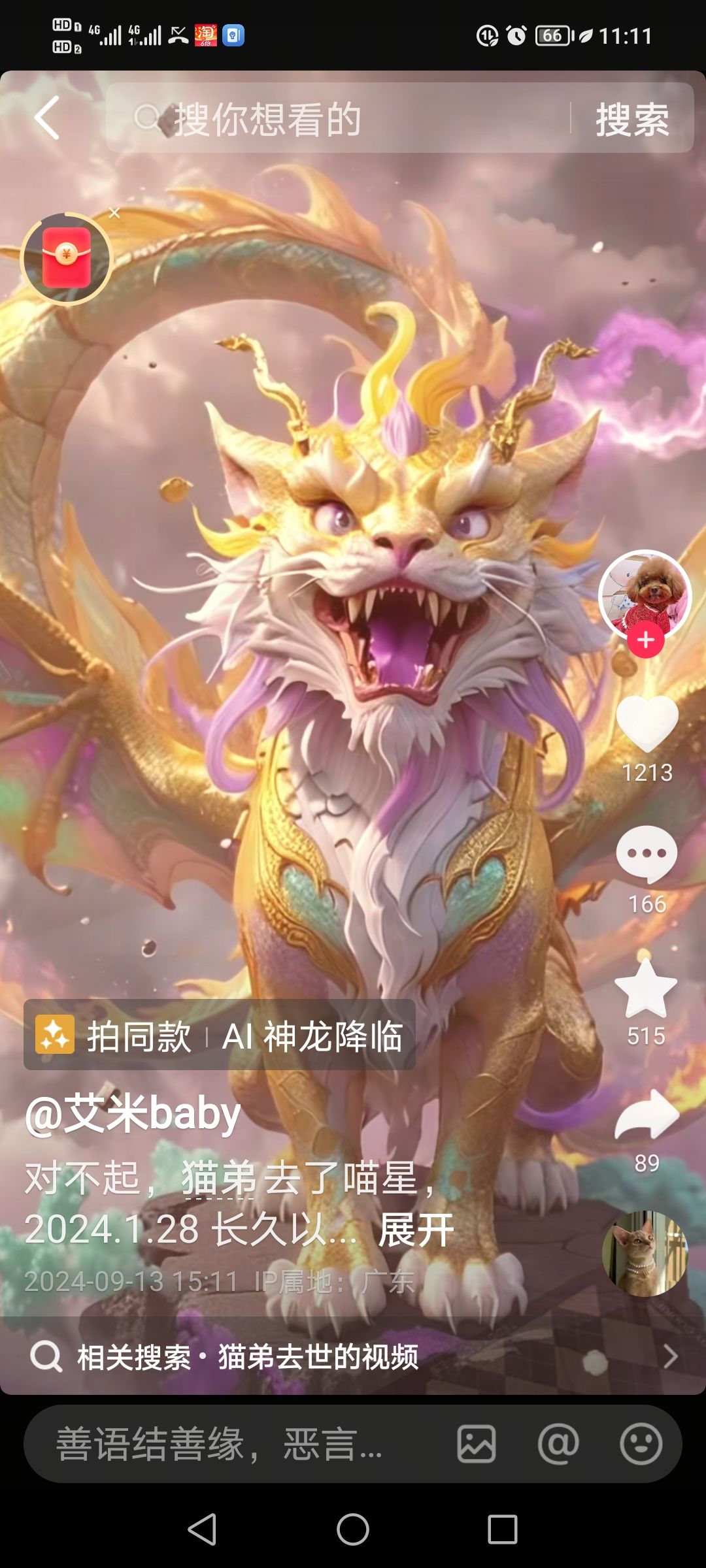 动态图片 2