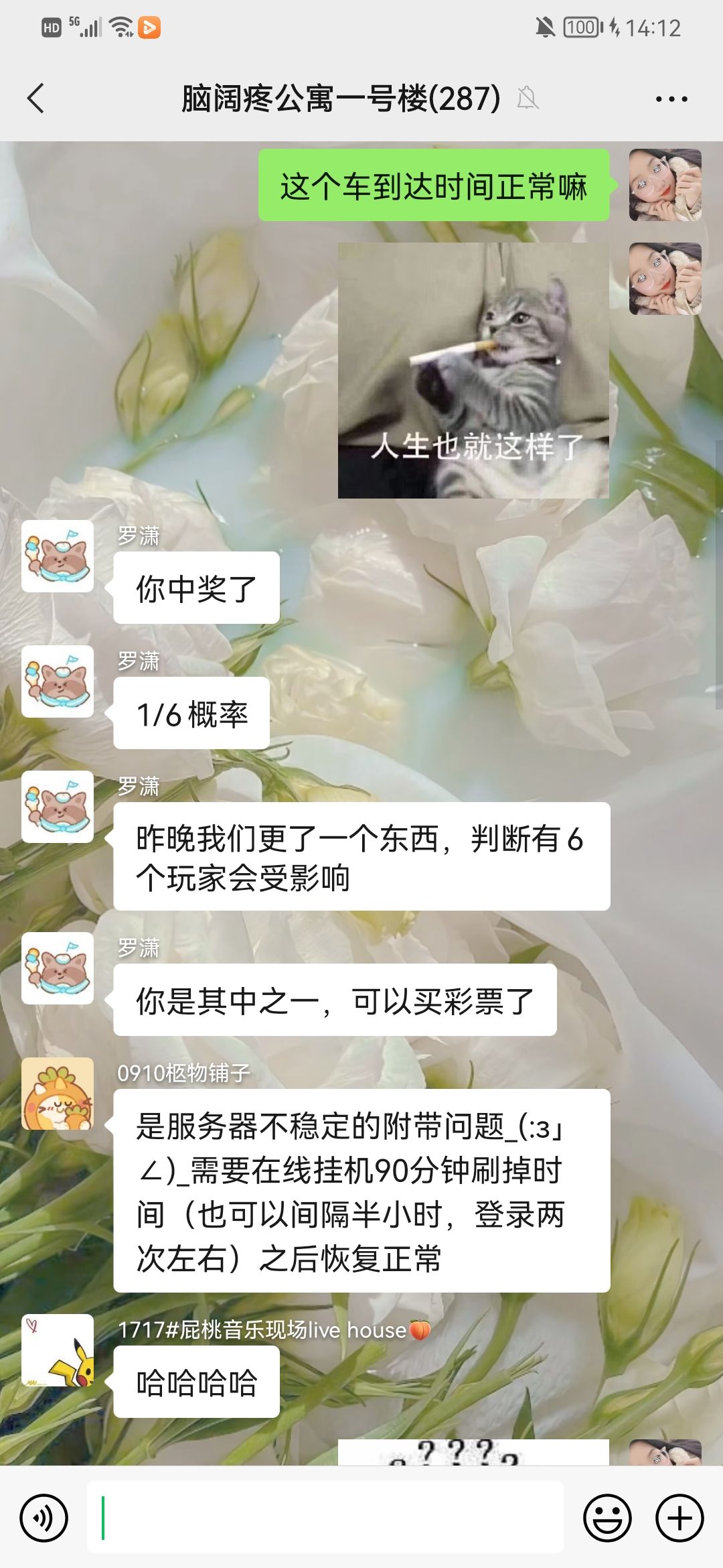 动态图片 2