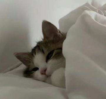 大家五一去哪玩？