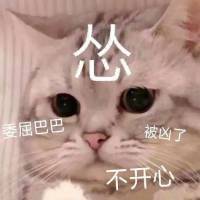 这个赛季适合玩啥职业截图