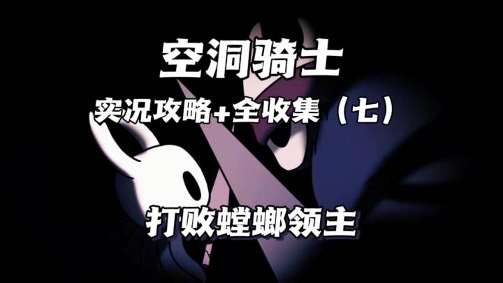 （三森）Hollow Knight空洞骑士P7打败螳螂领主截图