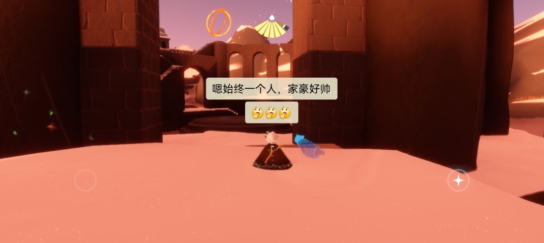 找崽崽 2