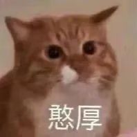 红米k40使全球变暖 1