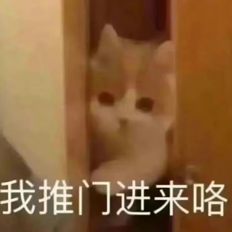 动态图片 5