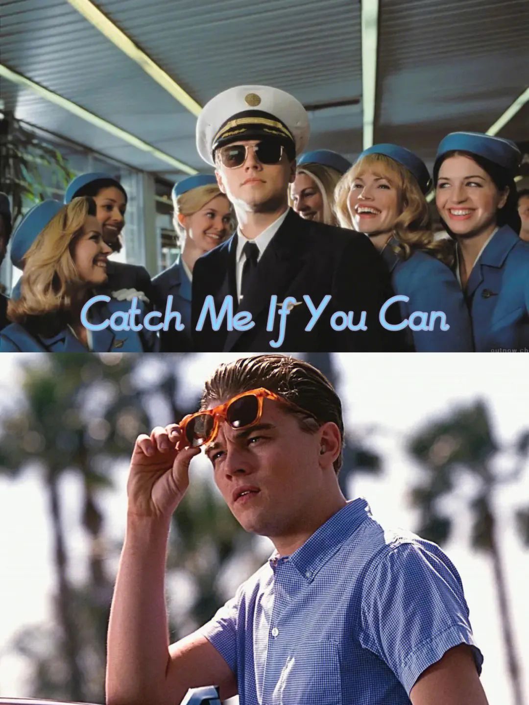 Catch Me If You Can 🤫 猫鼠游戏来了… 1