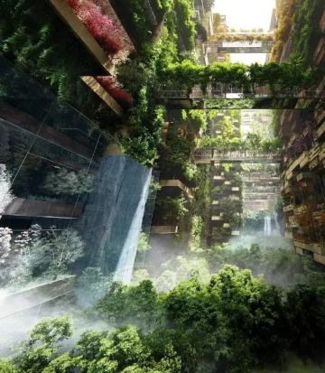 小白新手的统一过程