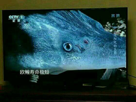 圣山卡是平铺还是单个抽满星更合理?截图